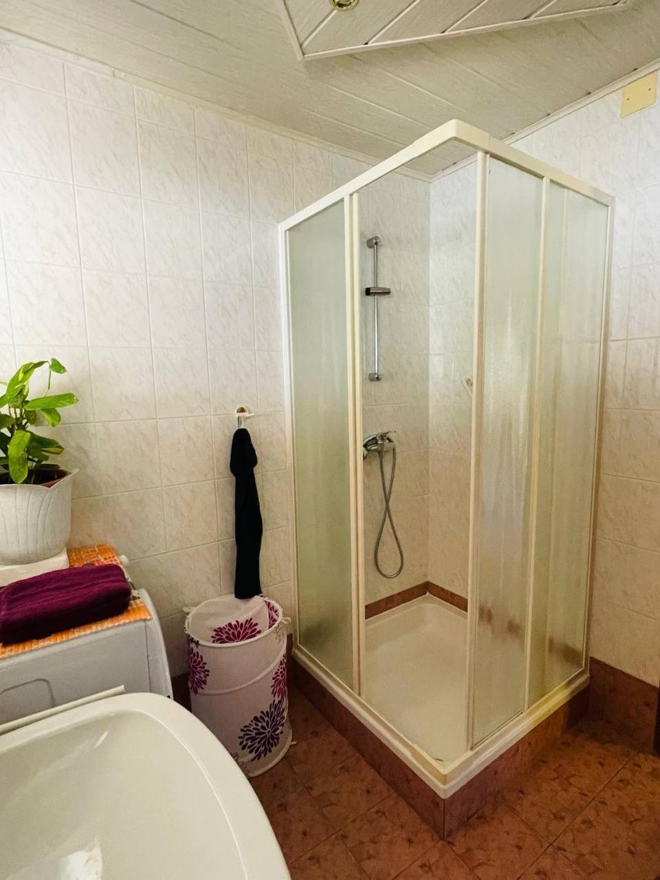 Apartma Pavla *