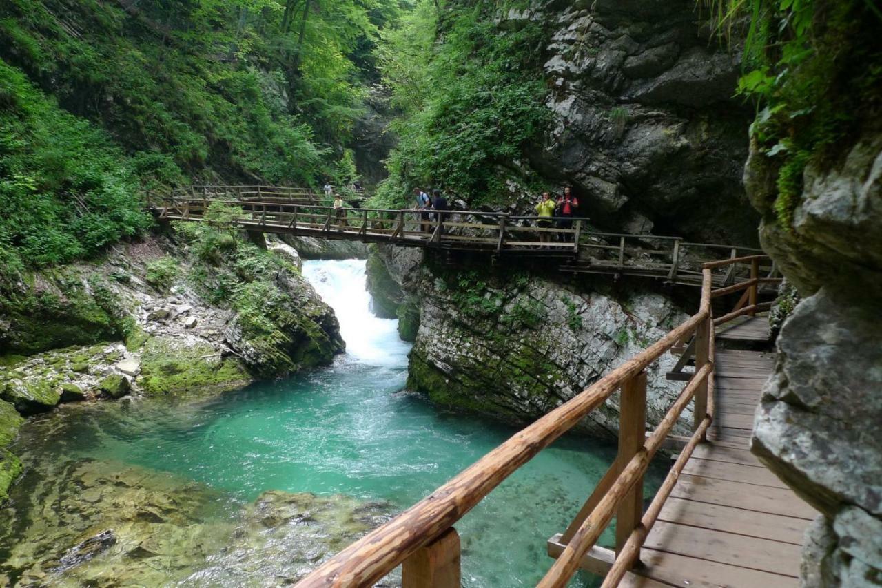 Apartma Pavla Spodnje Gorje